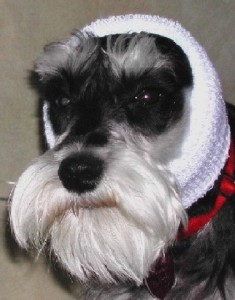 HAPPY HOODIE
